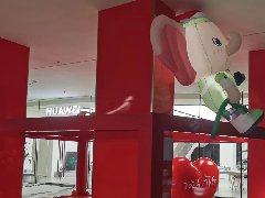 节日装饰花灯三