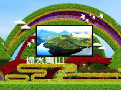 景观绿雕一