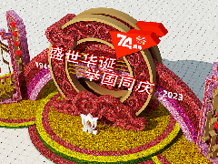 景观绿雕六
